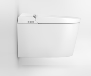 SANICLEAN : Kit douchette japonaise WC pour lavage à eau tempérée